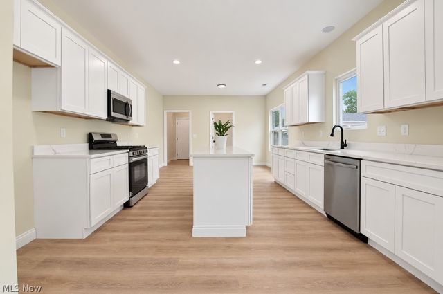193 Linden Drive, Painesville Twp, OH 44077