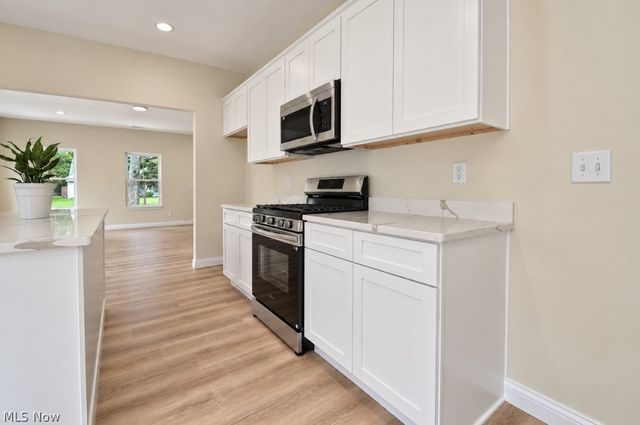 193 Linden Drive, Painesville Twp, OH 44077
