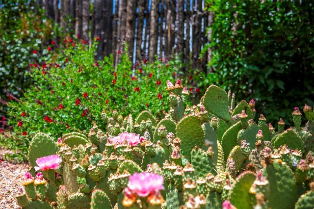 11 Vista Lagunitas, Santa Fe, NM 87507