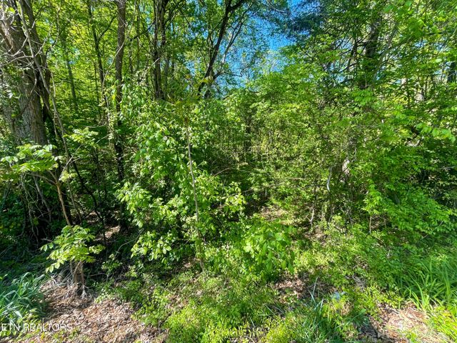 131 Pleasure Rd, Sevierville, TN 37876