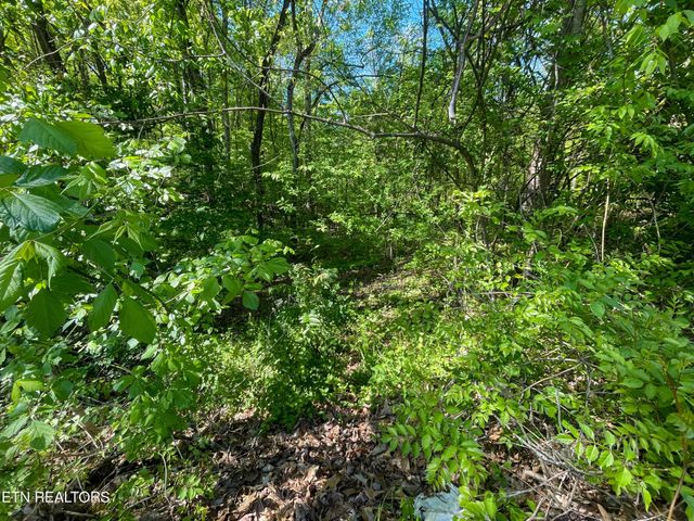 131 Pleasure Rd, Sevierville, TN 37876