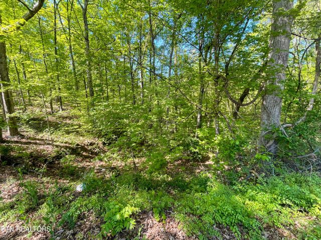 131 Pleasure Rd, Sevierville, TN 37876