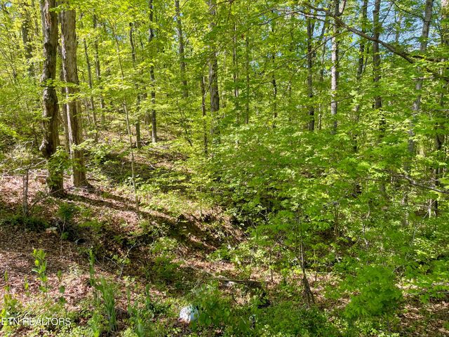 131 Pleasure Rd, Sevierville, TN 37876
