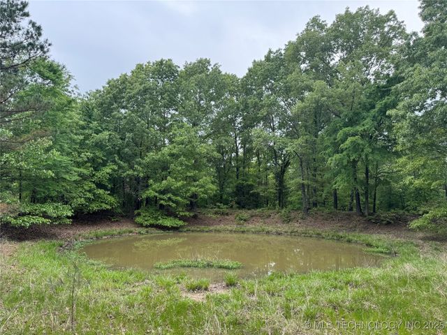 21179 E Standridge, Atoka, OK 74525