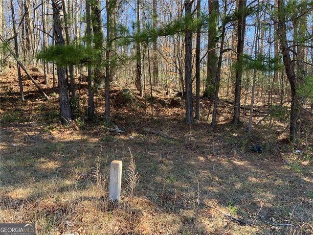 2324 Carrington Drive, Ellenwood, GA 30294