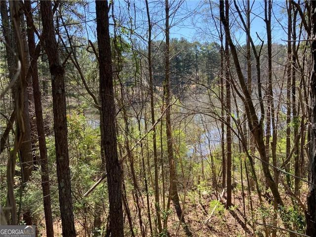 2324 Carrington Drive, Ellenwood, GA 30294