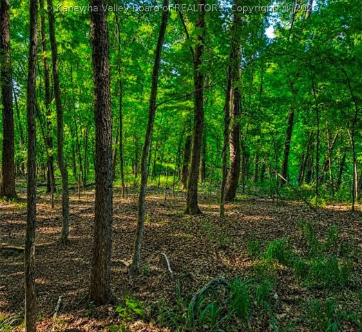 244 Silas Drive, Charleston, WV 25312
