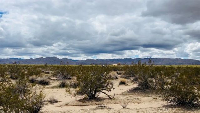 62985 Broadway, Joshua Tree, CA 92252