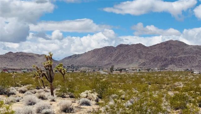 62985 Broadway, Joshua Tree, CA 92252