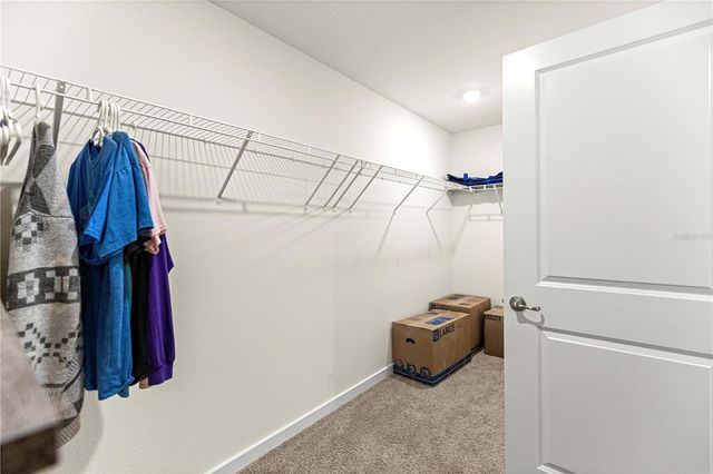 8729 TRIUMPH CIRCLE, Wildwood, FL 34785