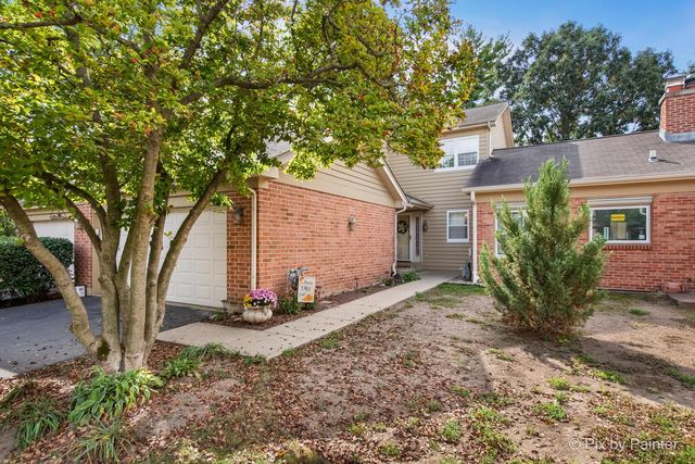 519 Shagbark Drive, Elgin, IL 60123