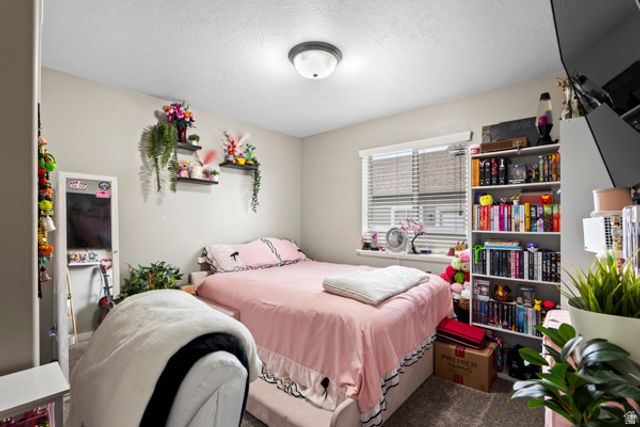 1338 S 1050 W, Payson, UT 84651