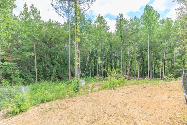 200 Wallaceville Cemetery Road, Chickamauga, GA 30707