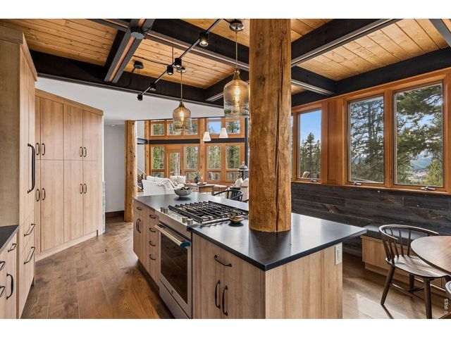 96 Bristlecone Way, Black Hawk, CO 80422