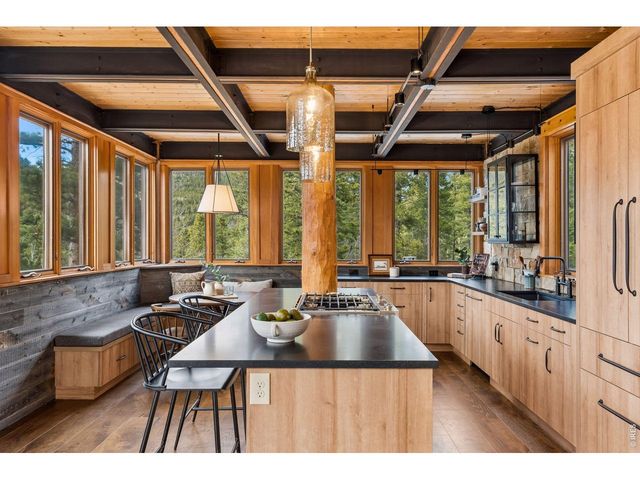 96 Bristlecone Way, Black Hawk, CO 80422
