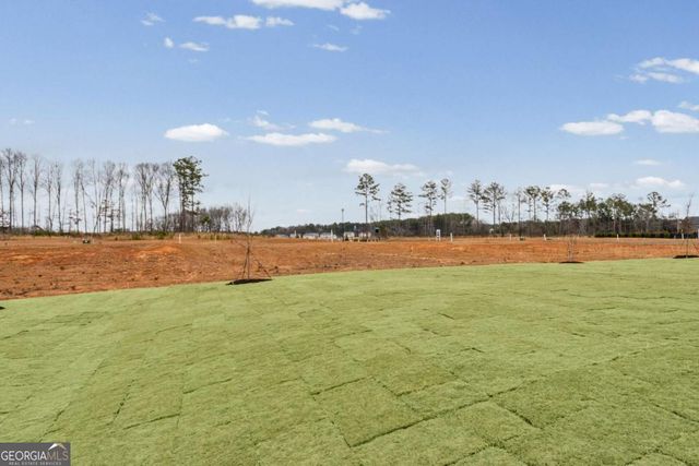 632 Vidalia Park Way, Mcdonough, GA 30252