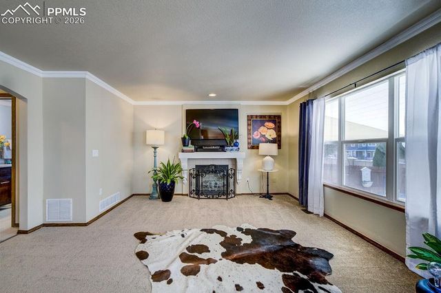 4841 Tawny Ridge Drive, Colorado Springs, CO 80916