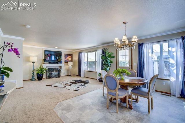 4841 Tawny Ridge Drive, Colorado Springs, CO 80916