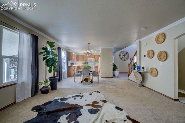 4841 Tawny Ridge Drive, Colorado Springs, CO 80916