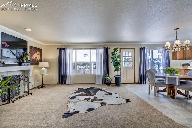 4841 Tawny Ridge Drive, Colorado Springs, CO 80916