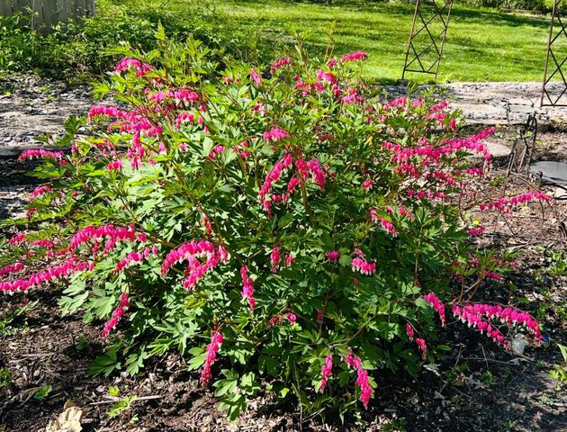 19178 147th Street NW, Elk River, MN 55330