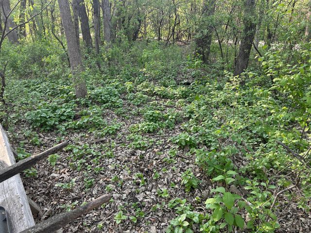 19178 147th Street NW, Elk River, MN 55330