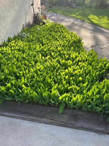 19178 147th Street NW, Elk River, MN 55330