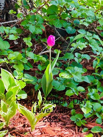 19178 147th Street NW, Elk River, MN 55330