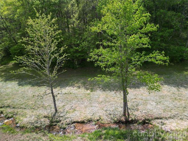 99999 Roaring Fork Road, Mars Hill, NC 28754