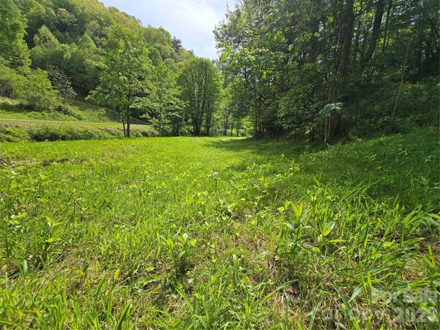 99999 Roaring Fork Road, Mars Hill, NC 28754