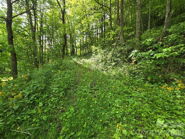 99999 Roaring Fork Road, Mars Hill, NC 28754