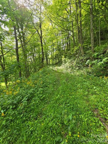 99999 Roaring Fork Road, Mars Hill, NC 28754