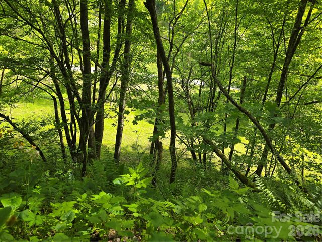 99999 Roaring Fork Road, Mars Hill, NC 28754