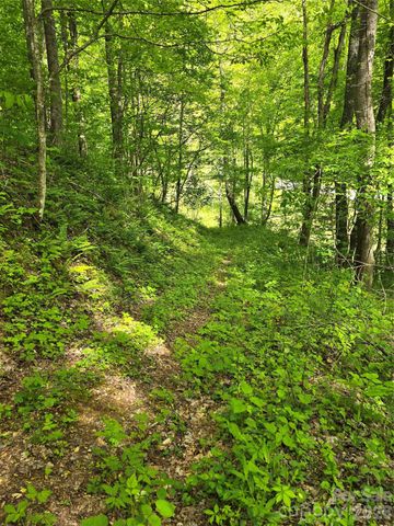 99999 Roaring Fork Road, Mars Hill, NC 28754