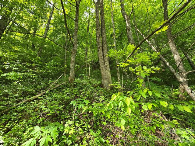 99999 Roaring Fork Road, Mars Hill, NC 28754