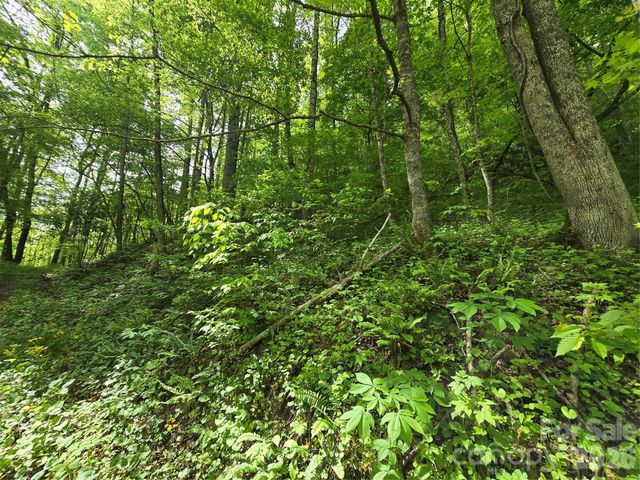 99999 Roaring Fork Road, Mars Hill, NC 28754