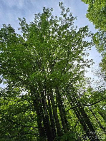 99999 Roaring Fork Road, Mars Hill, NC 28754