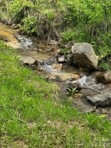 99999 Roaring Fork Road, Mars Hill, NC 28754