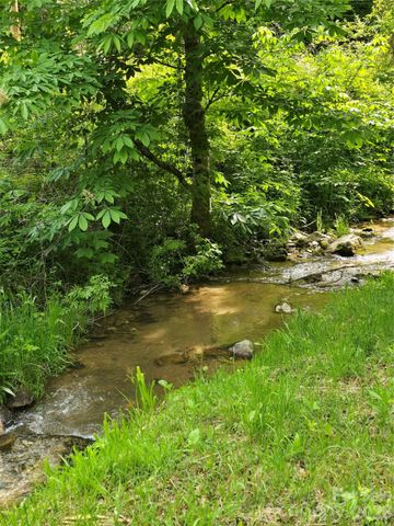 99999 Roaring Fork Road, Mars Hill, NC 28754