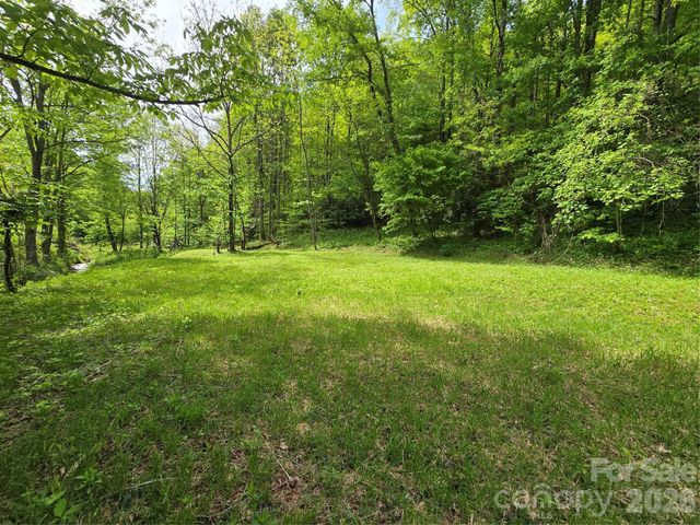 99999 Roaring Fork Road, Mars Hill, NC 28754