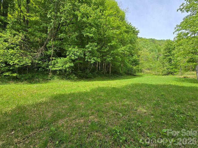 99999 Roaring Fork Road, Mars Hill, NC 28754