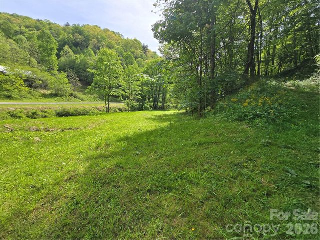 99999 Roaring Fork Road, Mars Hill, NC 28754