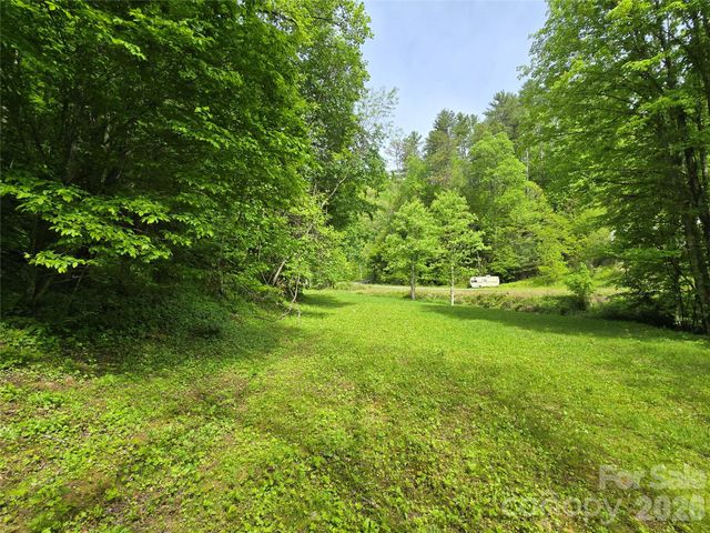99999 Roaring Fork Road, Mars Hill, NC 28754