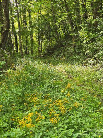 99999 Roaring Fork Road, Mars Hill, NC 28754