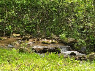 99999 Roaring Fork Road, Mars Hill, NC 28754