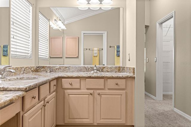 17274 SE 85TH WILLOWICK CIRCLE, The Villages, FL 32162