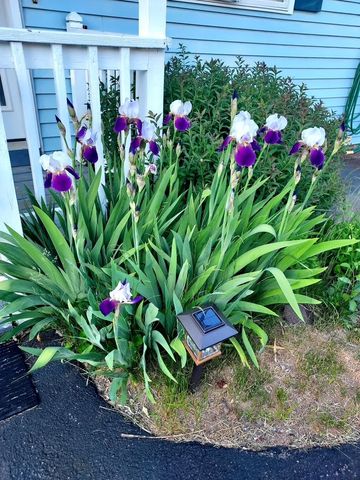 6 Marilyn Drive, Belmont, NH 03220