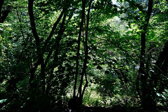 166 Hooker Hill Road, St. Johnsbury, VT 05819