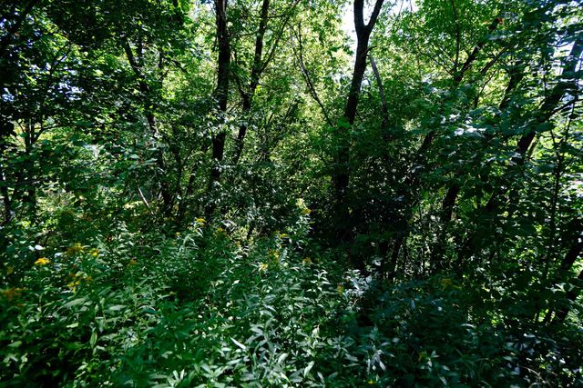 166 Hooker Hill Road, St. Johnsbury, VT 05819