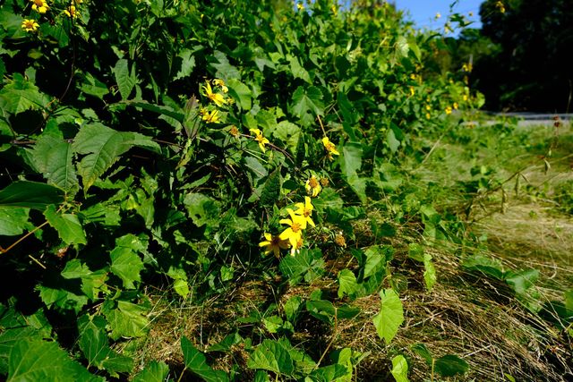 166 Hooker Hill Road, St. Johnsbury, VT 05819